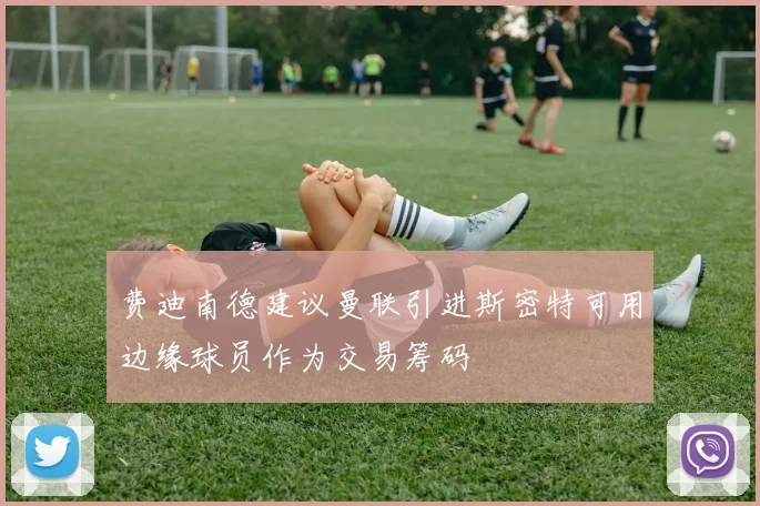费迪南德建议曼联引进斯密特可用边缘球员作为交易筹码