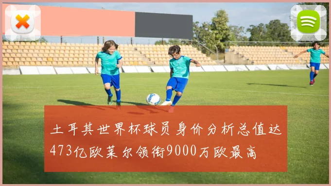 土耳其世界杯球员身价分析总值达473亿欧莱尔领衔9000万欧最高